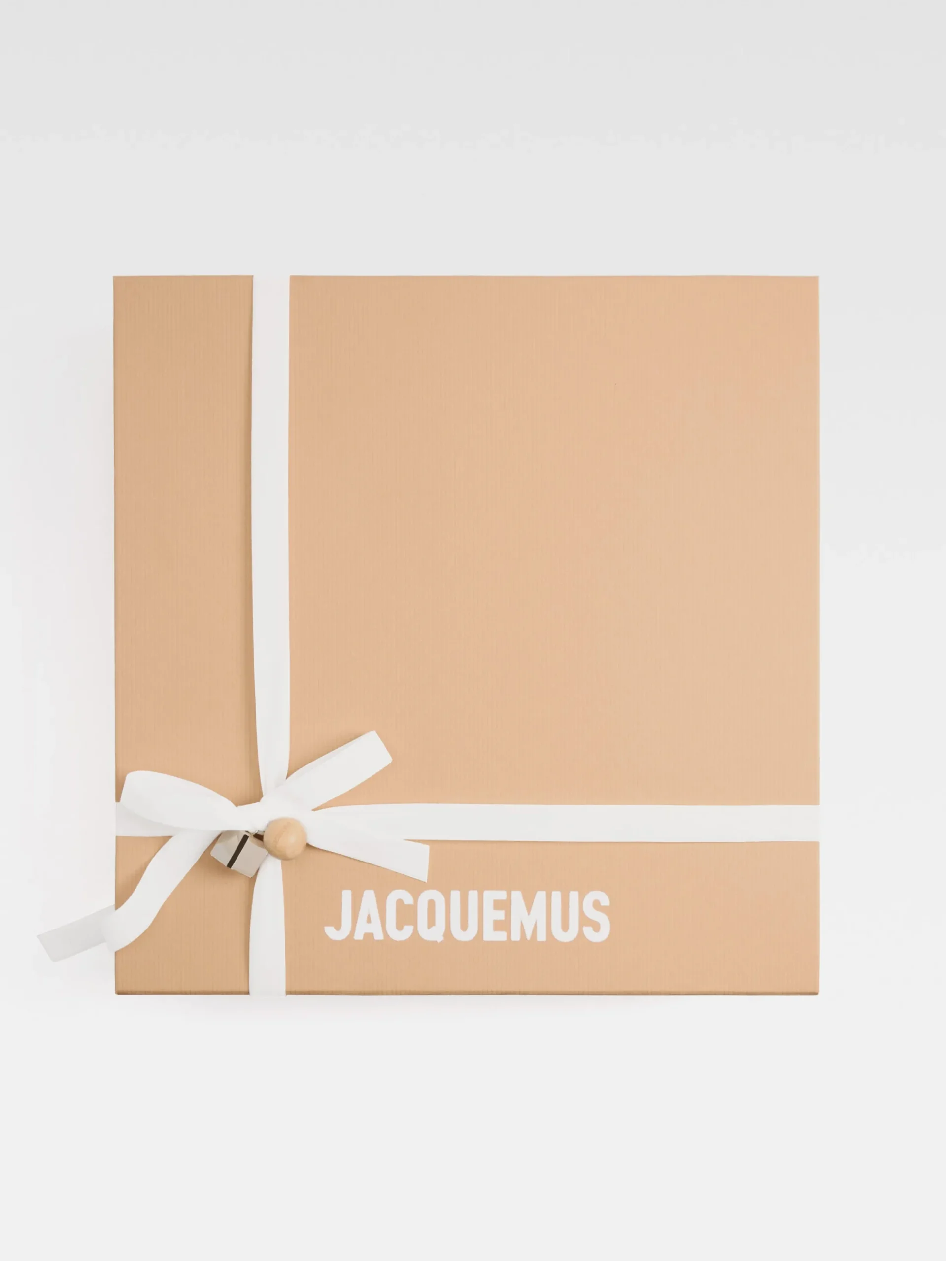 Best Jacquemus De kleine Bisou Chaine Silver